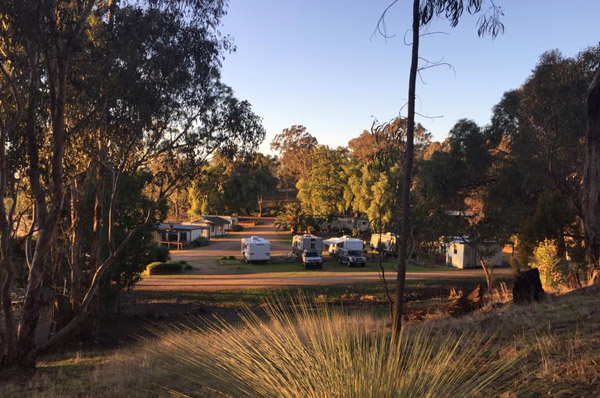 glenrowan caravan and tourist park